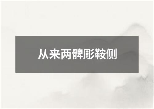 从来两髀彫鞍侧