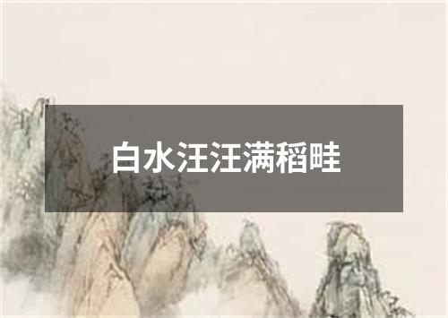 白水汪汪满稻畦