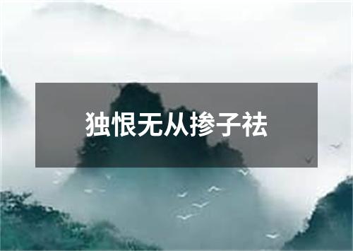 独恨无从掺子祛