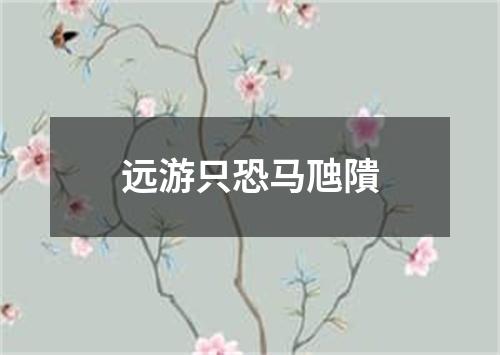 远游只恐马虺隤