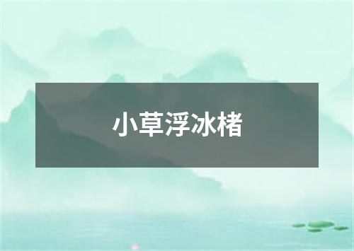 小草浮冰楮