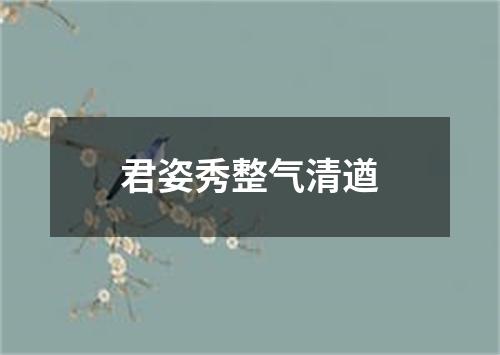 君姿秀整气清遒