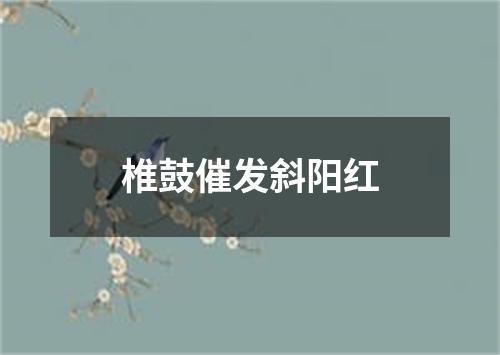 椎鼓催发斜阳红