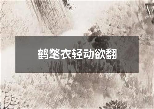 鹤氅衣轻动欲翻