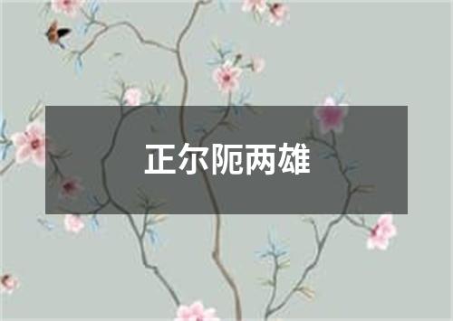 正尔阨两雄