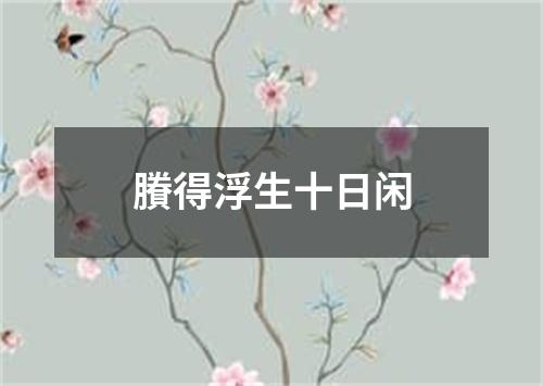 賸得浮生十日闲