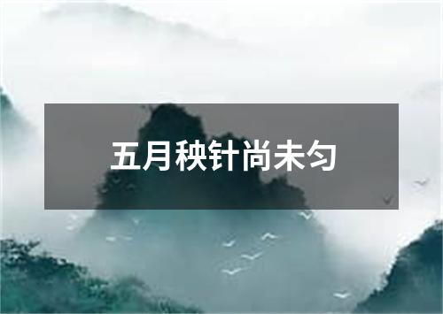 五月秧针尚未匀