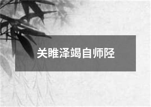 关睢泽竭自师陉