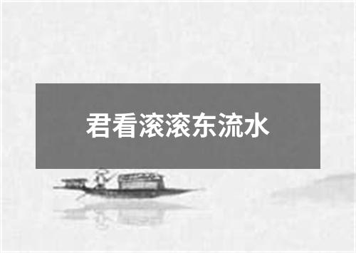 君看滚滚东流水