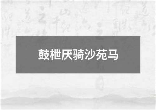 鼓枻厌骑沙苑马