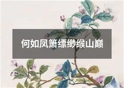 何如凤箫缥缈缑山巅