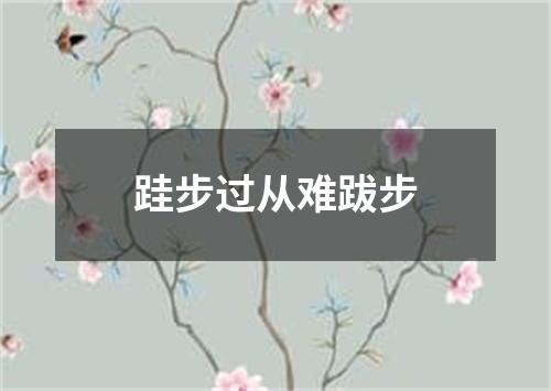 跬步过从难跋步