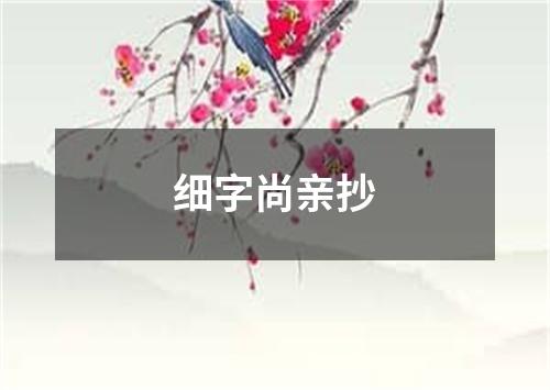 细字尚亲抄