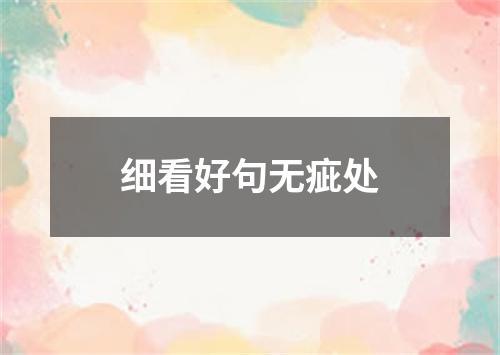 细看好句无疵处