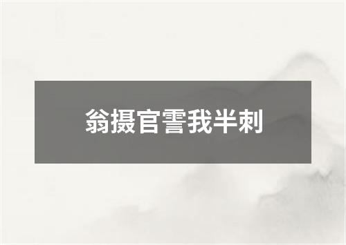 翁摄官霅我半刺