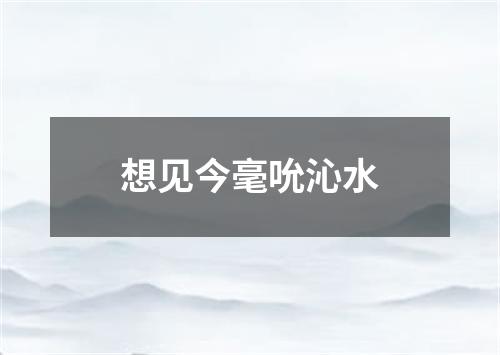 想见今毫吮沁水