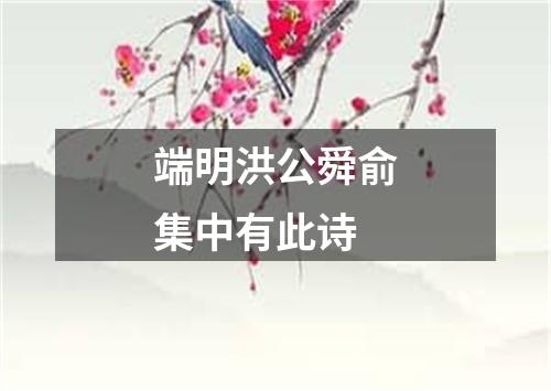 端明洪公舜俞集中有此诗