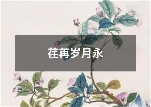 荏苒岁月永