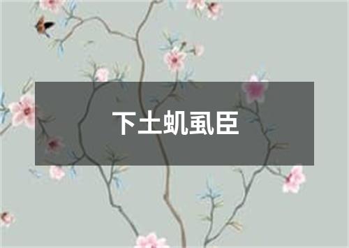 下土虮虱臣