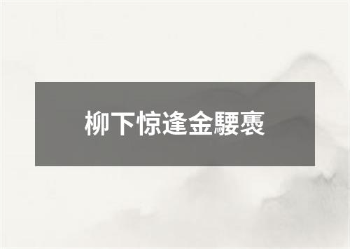 柳下惊逢金騕褭