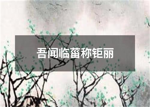 吾闻临菑称钜丽