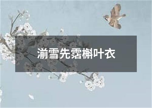 湔雪先霑槲叶衣