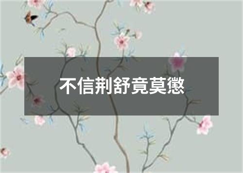 不信荆舒竟莫懲