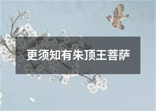 更须知有朱顶王菩萨