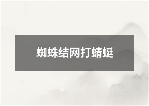 蜘蛛结网打蜻蜓