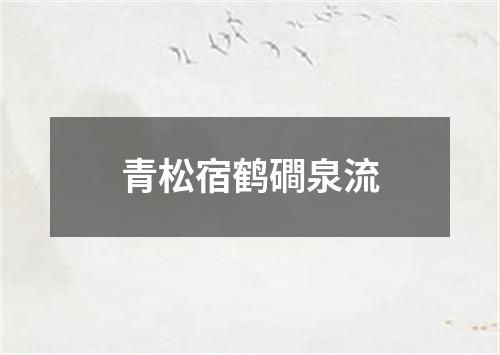 青松宿鹤磵泉流