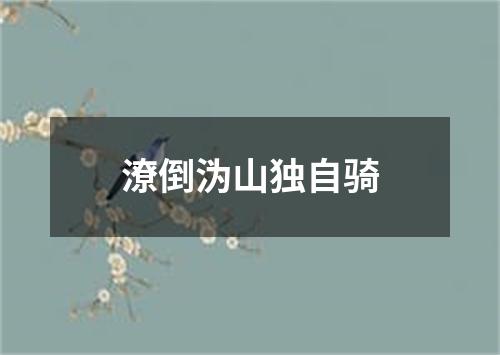 潦倒沩山独自骑