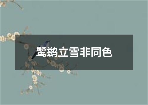 鹭鹚立雪非同色