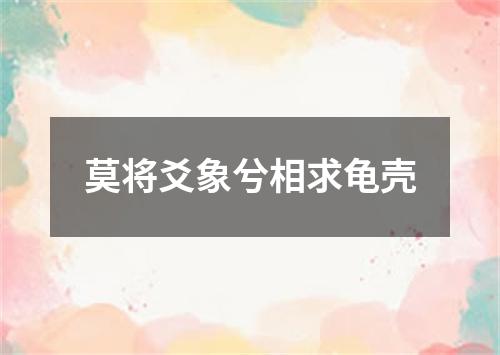 莫将爻象兮相求龟壳