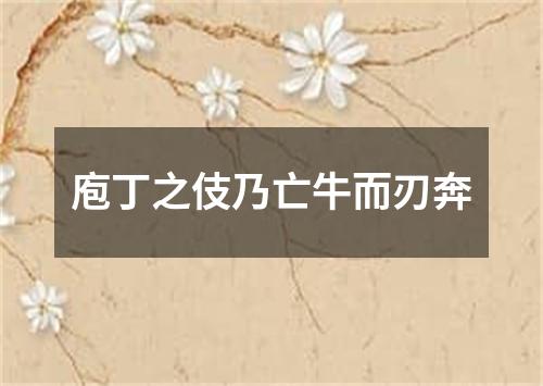 庖丁之伎乃亡牛而刃奔