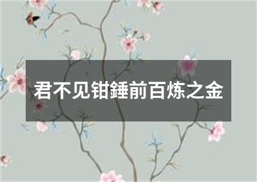 君不见钳錘前百炼之金