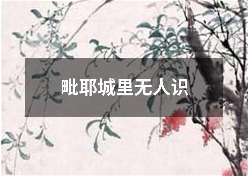 毗耶城里无人识