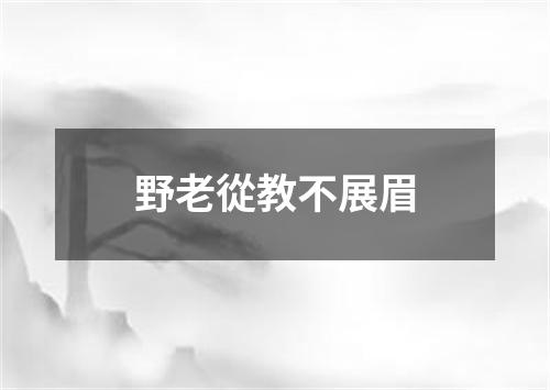 野老從教不展眉