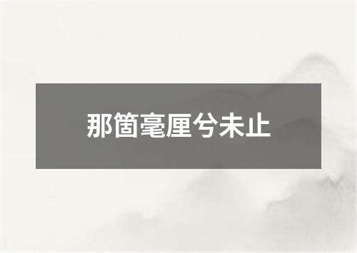 那箇毫厘兮未止