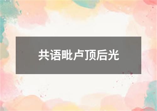 共语毗卢顶后光