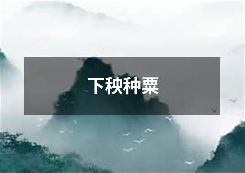 下秧种粟