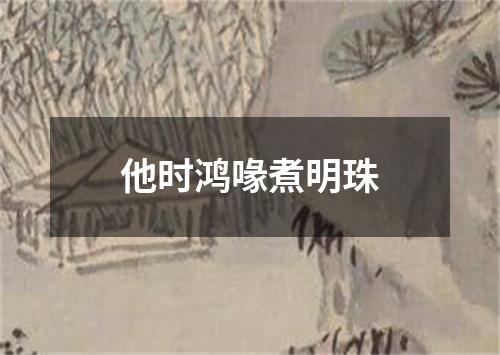 他时鸿喙煮明珠