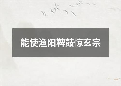 能使渔阳鞞鼓惊玄宗