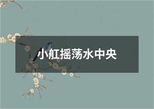 小舡摇荡水中央