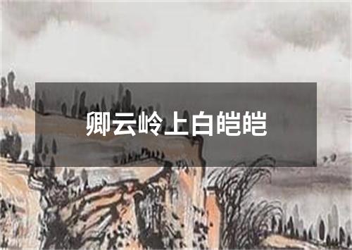 卿云岭上白皑皑