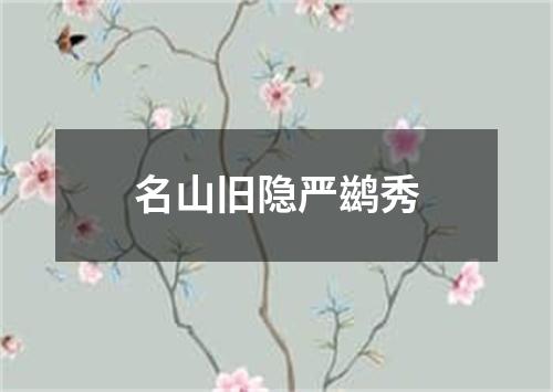 名山旧隐严鹚秀