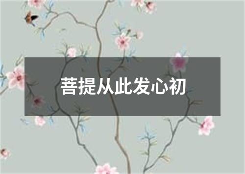 菩提从此发心初