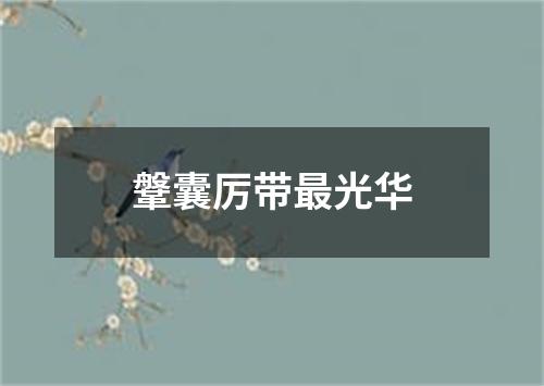 鞶囊厉带最光华