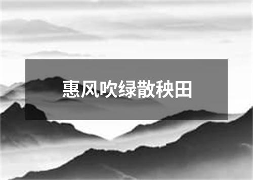 惠风吹绿散秧田