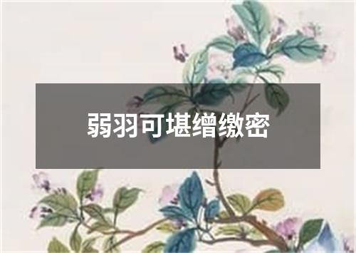 弱羽可堪缯缴密