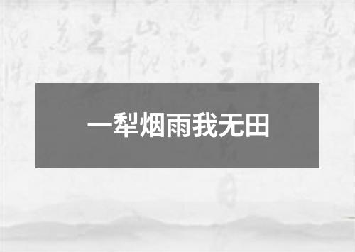 一犁烟雨我无田